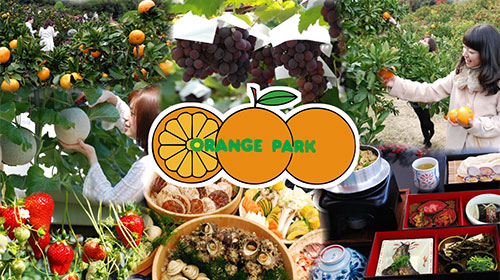 自然の恵みを味わう贅沢体験